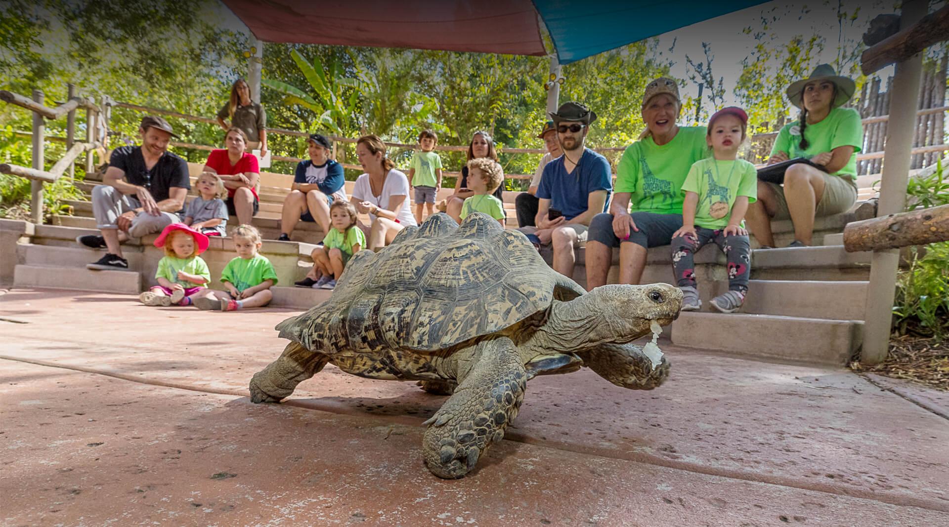 Youth Programs San Diego Zoo Safari Park